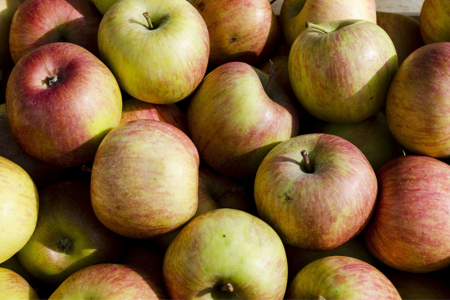 Breaburn appels verpakt 6st stuk 2